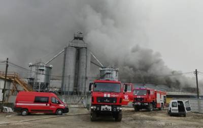 В Ивано-Франковской области масштабный пожар на свинокомплексе