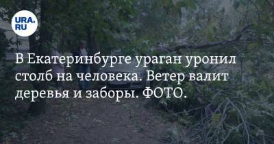В Екатеринбурге ураган уронил столб на человека. Ветер валит деревья и заборы. ФОТО. ВИДЕО