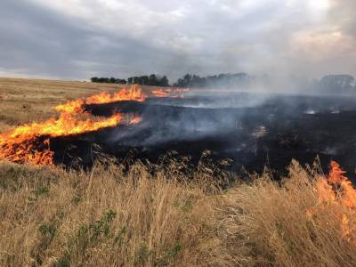 Пожар на заминированной территории Донбасса загасили