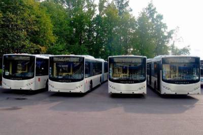 В Петербург поступило более 20 новых двухсекционных автобусов