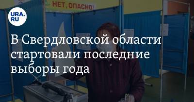 В Свердловской области стартовали последние выборы года