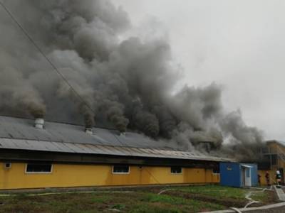 Пожар на свинокомплексе в Ивано-Франковской области: огонь охватил 2500 квадратных метров