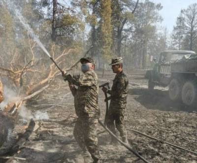Почти 600 лесных пожаров произошло в Казахстане в этом году