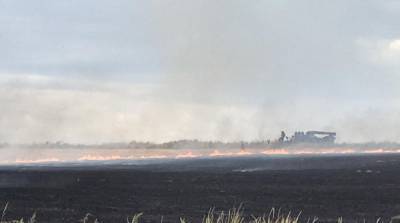Штаб ООС назвал причину пожаров на Донбассе
