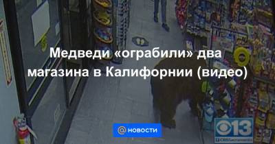 Медведи «ограбили» два магазина в Калифорнии (видео) - news.mail.ru - шт. Калифорния