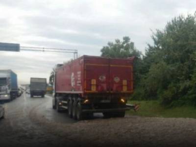 Водителя оштрафуют: из фуры на дорогу во Львовской области выпали десятки килограммов курятины