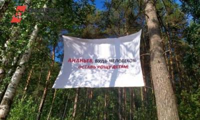 Екатеринбургские общественники попросили «Атомстройкомплекс» сохранить Березовую рощу