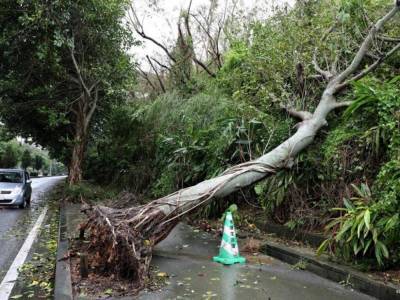 В Японии отменили более 100 авиарейсов из-за супертайфуна: начата эвакуация населения