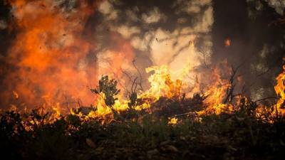 В Крыму объявили о чрезвычайной пожароопасности