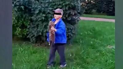 В Ломоносове 8-летний живодёр убил котёнка и запустил бутылкой в пенсионера