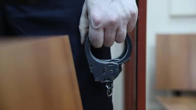 Суд арестовал подозреваемого в убийстве воспитательницы в Подмосковье