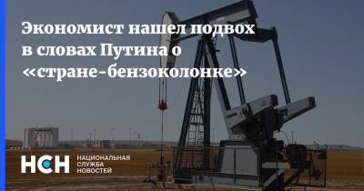 Экономист нашел подвох в словах Путина о «стране-бензоколонке»