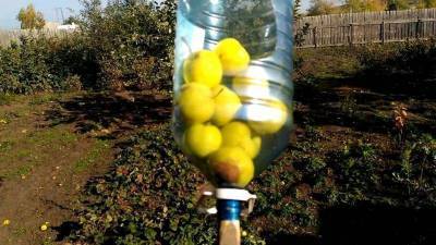 3 способа сделать плодосъемник из швабры и пластиковой бутылки