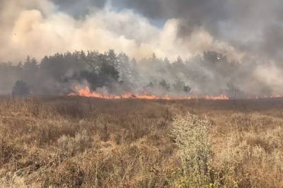 На полигоне под Харьковом загорелся лес: очевидцы показали первые видео и сообщили о возможной эвакуации населения