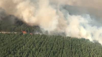 Лесной пожар в Ростовской области перебросился на жилые дома