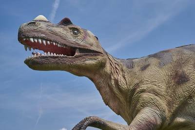 Ученые определили точный вес динозавров