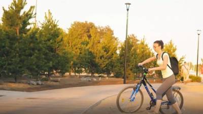 В городском парке Соснового Бора проложат велодорожку