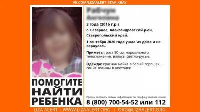 На Ставрополье пропала 3-летняя девочка, СК возбудил дело об убийстве