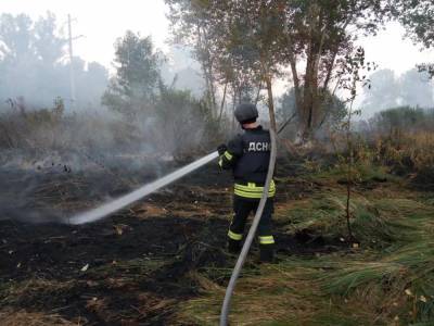 На Луганщине снова сильный пожар: работа ГСЧС усложняется порывистым ветром