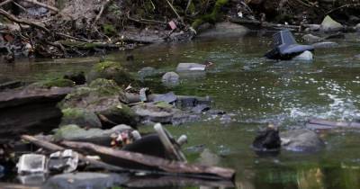 В Калининграде обнаружили больше 20 незаконных выпусков сточных вод в ручей Лесной