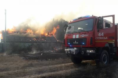 В Харьковской области вспыхнул масштабный пожар в сосновом лесу, зацепило жилой сектор