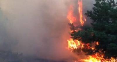 В Белокалитвинском районе потушили постройки, сейчас горит лесной массив