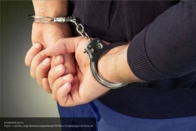 В Томской области арестовали маньяка с 12-летним стажем
