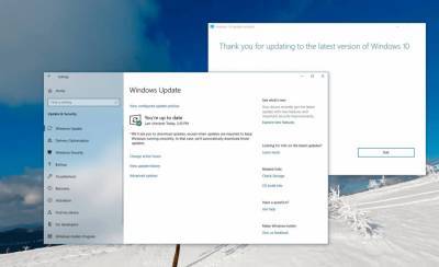 Майское обновление Windows 10 продолжает плодить проблемы