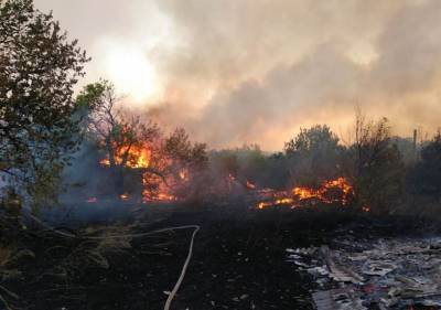 Пожары в Ростовской области: обновленные данные МЧС