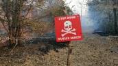 На Харьковщине и Луганщине вспыхнули масштабные лесные пожары