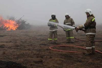 Пожар в садовом товариществе «Пионер» в Ростовской области потушили