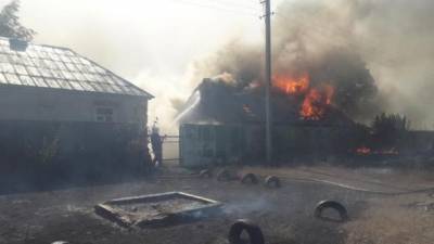 Лесной пожар в Харьковской области: полиция открыла уголовное производство