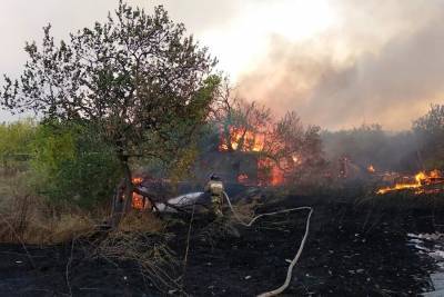Площадь лесных пожаров в Ростовской области выросла до 170 гектаров