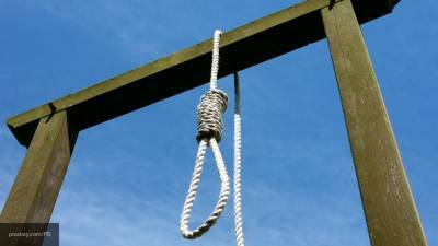 Депутат Шерин оценил вероятность возвращения смертной казни в РФ