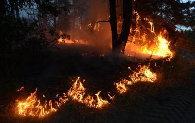 На места пожаров в Луганской и Харьковской области вылетит правительственная команда