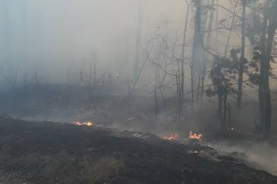 Пожар в Харьковской области: К ликвидации привлекли железнодорожников