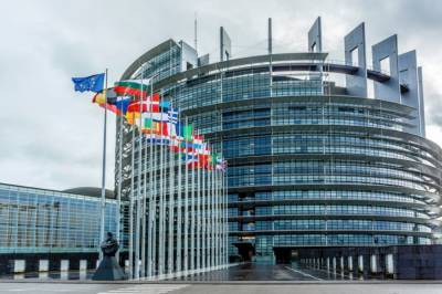 В Европарламенте возмущены "сафари" Нацкорпуса и нападением на нардепа Волошина