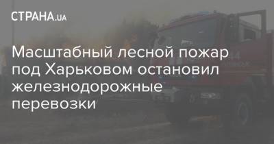 Масштабный лесной пожар под Харьковом остановил железнодорожные перевозки