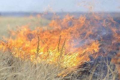 «Детонируют мины»: появились подробности пожара в Луганской области