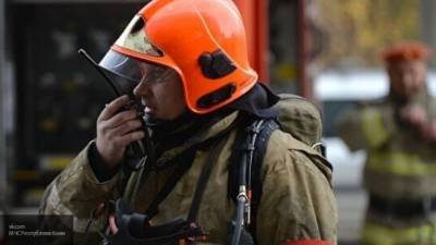 Пожарные тушат возгорания в лесных массивах под Ростовом