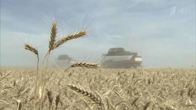Более 122 миллионов тонн зерна планируют собрать российские аграрии