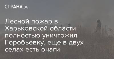 Лесной пожар в Харьковской области полностью уничтожил Горобьевку, еще в двух селах есть очаги