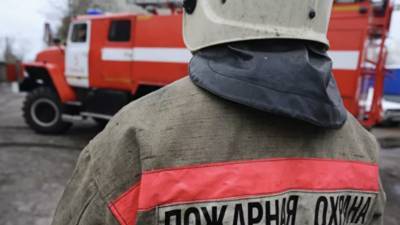Один человек погиб из-за лесных пожаров в Ростовской области