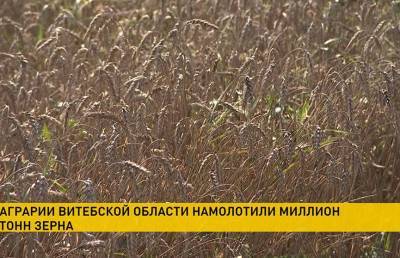 Урожай-2020: в Витебской области аграрии убрали миллион тонн зерна