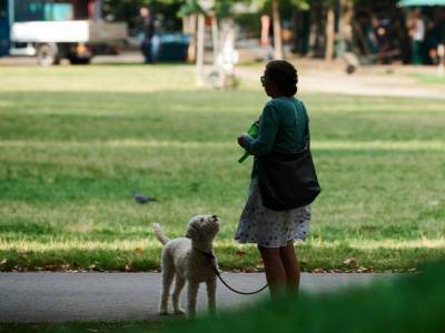 В Петербурге бежавшие из дома женщины смогут оставить своих собак у волонтеров