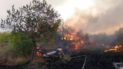 В результате лесных пожаров в Ростовской области погибли два человека
