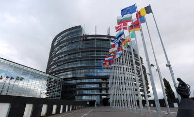 В Европарламенте возмущены «сафари» Нацкорпуса и нападением на депутата Волошина