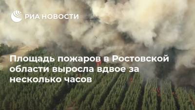 Площадь пожаров в Ростовской области выросла вдвое за несколько часов