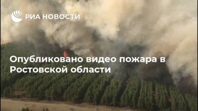 Опубликовано видео пожара в Ростовской области
