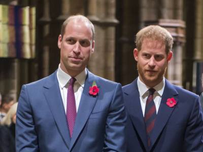 Принц Гарри и принц Уильям официально заявили о воссоединении - СМИ